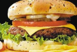 汉堡肉饼爆料视频教程全集,视频教程全集揭秘